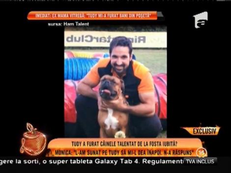 Tuddy a participat la ”Ham Talent” cu un câine furat!