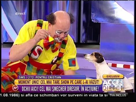 Cel mai talentat dresor din România