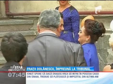 IMA Star Observator 29/10/2015