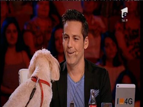 Cățelul Deliei, show pe scena X Factor