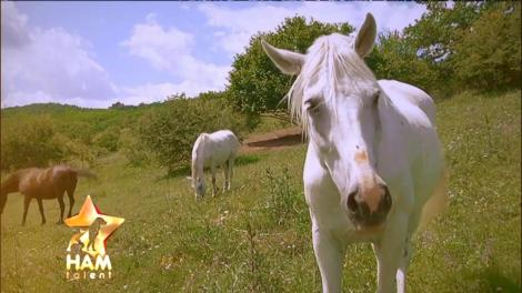 Necuvântătoarele lui Mugur Pop alină durerea copiilor cu probleme