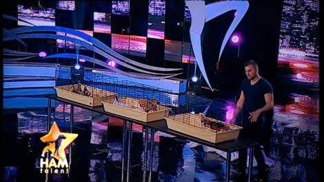 Cele mai frumoase specii "dă" fazan şi "dă" raţe! George Ioniţă l-a cam scos din sărite pe Mihai Petre