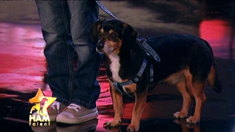 Câinele este mai bătrân decât stăpânul! Cristian şi Papi au o relaţie strânsă