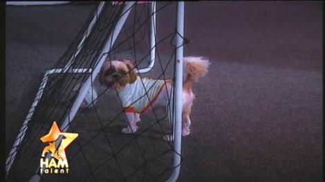 Bobiţă vrea să fie fotbalist, dar mingea fuge de el! Moment amuzant pe scena show-ului "Ham Talent"