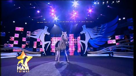 El este Pluto, armăsarul dansator! L-a cucerit instantaneu pe Mihai Petre: "E mai bun decât mulţi oameni. Este numărul meu preferat"