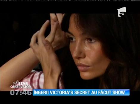 IMA Star Observator 11/11/2015