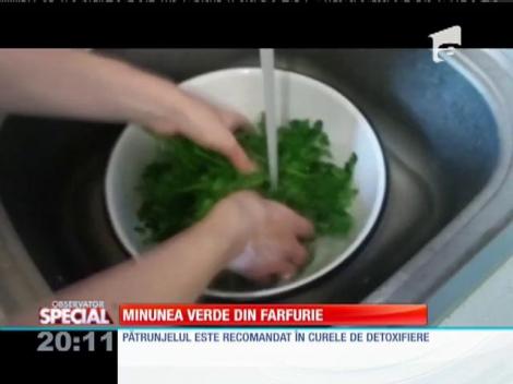 SPECIAL! Pătrunjelul, minunea verde din farfurie