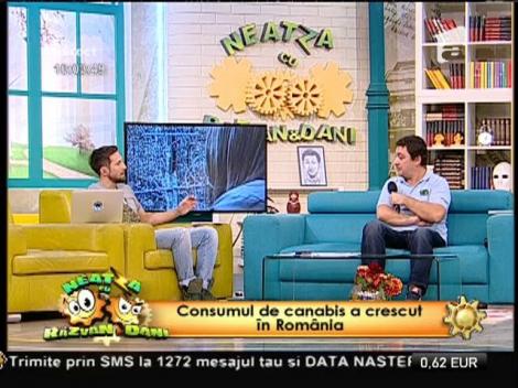 Studiu: În România a crescut consumul de cannabis!