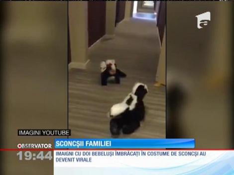 Bebeluşi îmbrăcaţi în sconcşi, de Halloween