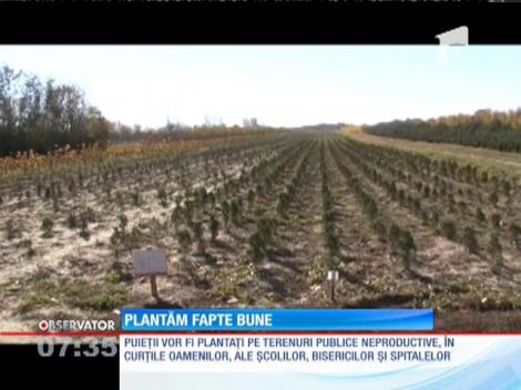 Sâmbătă începe marea împădurire naţională!