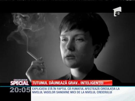 SPECIAL! Tutunul dăunează grav inteligenței