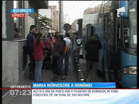 Marea împădurire națională. Peste un milion de puieţi vor fi plantaţi cu ajutorul a peste 10 mii de voluntari