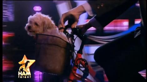 Tic, câinele care se plimbă cu motocicleta și își inspiră stăpâna să scrie cărți!