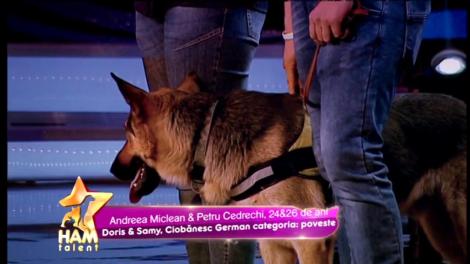 Samy este un câine cu pedigree de erou! Povestea lui a emoționat juriul!