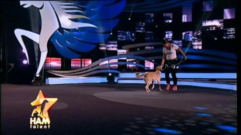 Freddy face fitness și show la „Ham talent”! Numărul a impresionat juriul!