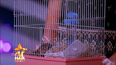 Le-a arătat tuturor veverița! Sara stârnește imaginația juraților