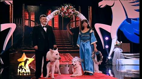 Căsătorie canină la ”Ham Talent”! Juriul a asistat la o nuntă ca-n povești, căci mirii au pedigree de vedetă!