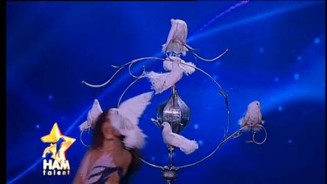 Spectacol de poveste cu porumbei, pe scena ”Ham Talent”! Toți au crezut că văd ceva magic!