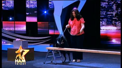 Smokie, câinele problemă! Cel mai mare talent al său este...rosul pantofilor!