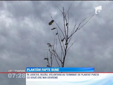 Peste 10 mii de voluntari au plantat un milion de puieţi!