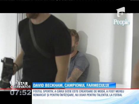 IMA Star Observator 19/11/2015