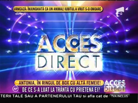 Şoc! Antonia s-a bătut cu o femeie! Antonia a urcat în ring şi a împărţit pumni! Fără milă!