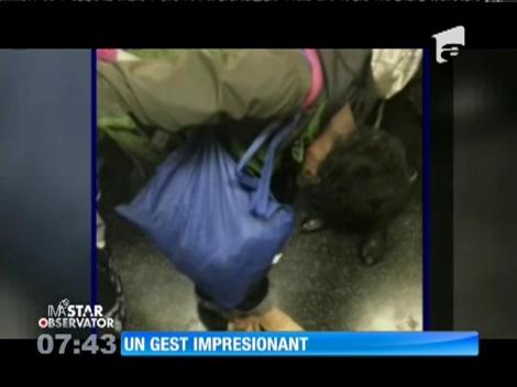 IMA Star Observator 21/11/2015