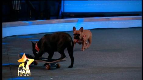 Liviu Vârciu are „noră” semifinalistă la Ham Talent! patru de „DA” pentru Thetys Lisa