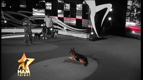 Familia Andrași, dresori profesioniști, dezamăgesc juriul Ham Talent