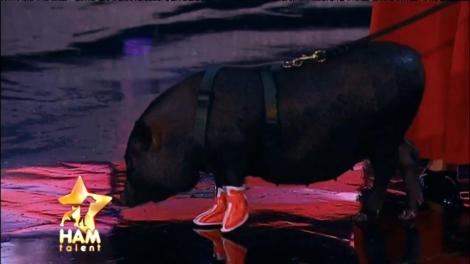 Impresionant! Povestea care l-a emoționat pe Mihai Petre până la lacrimi!