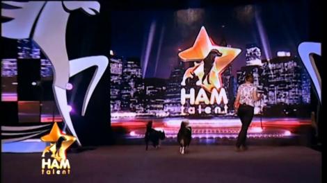 Iggy și Zeus, doi câini din rasa Border Collie, impresionează juriul prin talentul lor