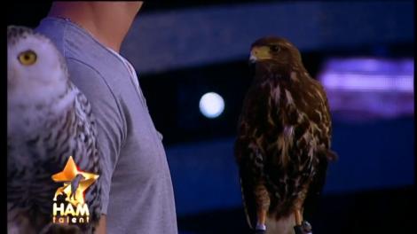 Shella, o bufnița polară, cucerește publicul și juriul Ham Talent