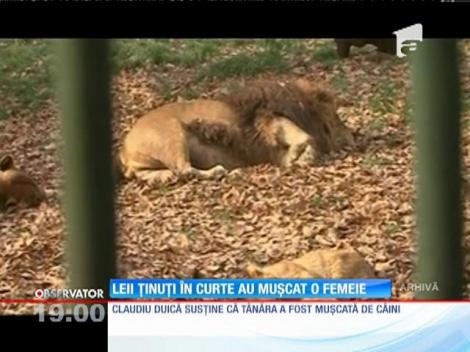 Tânără sfâșiată de lei pe moşia unui bogat executor judecătoresc