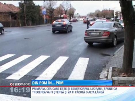 La Târgu Jiu a fost construită o trecerea de pietoni între doi pomi!