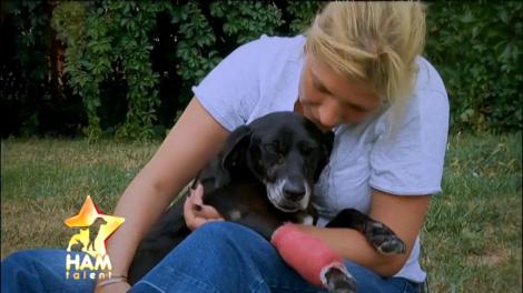 Două broaște țestoase urmau să devină supă, iar acum speră să câștige marele premiu "Ham Talent"