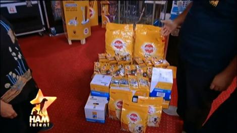 Hercule, cățelul cel mai puternic din lume! Nu are mai mult de două kilograme, a rămas fără lăbuțele din spate, dar are parte de afecțiune cu carul