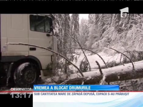 Cantitatea mare de zăpadă a blocat mai multe zone din ţară