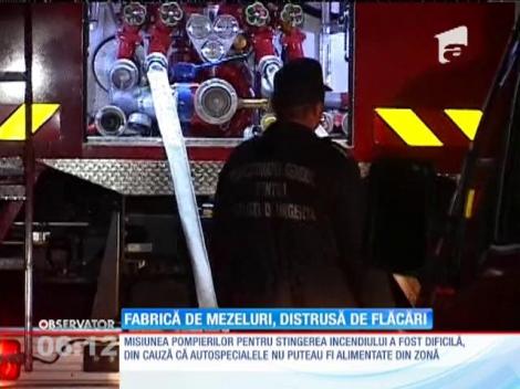Cea mai mare fabrică de mezeluri din Argeş, distrusă de flăcări