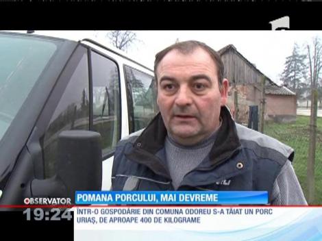Pomana porcului, mai devreme
