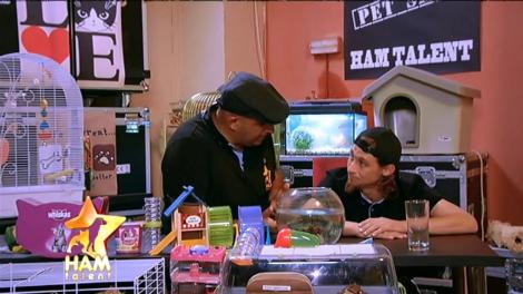 Și-a apărat stăpâna de ”atacul” unui Bichon, iar astăzi a impresionat juriul: King, Ciobănescul German care e ” de serviciu” tot timpul