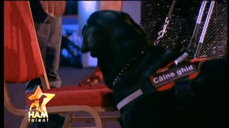 A fost dresat pentru a ajuta persoanele nevăzătoare! Bongo, un patruped ce a emoționat jurații