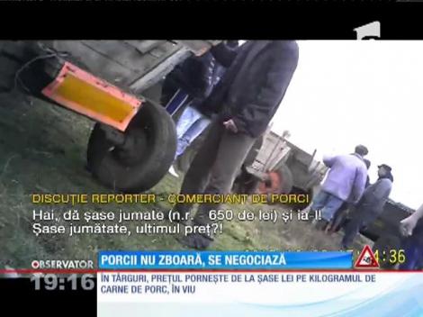 Preţul unui porc porneşte de la 7 lei kilogramul în viu, la marginea Capitalei