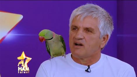 A emoționat o sală întreagă! Marcu, un bărbat ce-și iubește la nebunie papagalii!