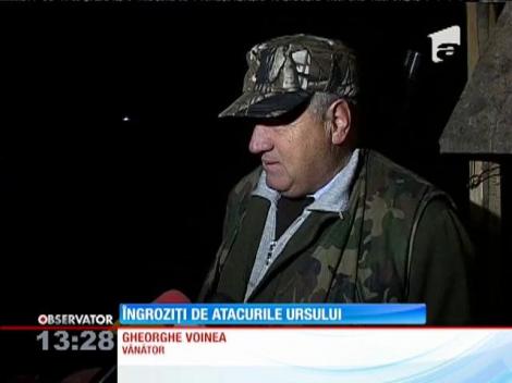 Un urs a băgat spaima în localnicii din Davidești, Argeş