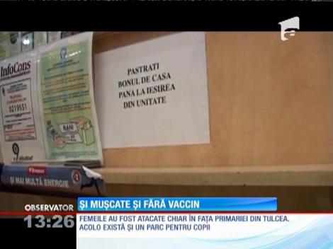 Criză de vaccin antirabic la Tulcea