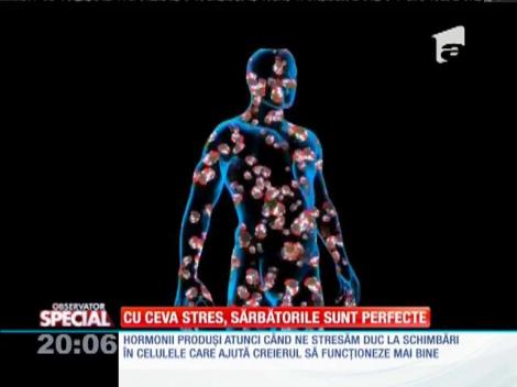 Special! Stresul reprezintă faptul că facem ceva important, iar această reacţie este sănătoasă