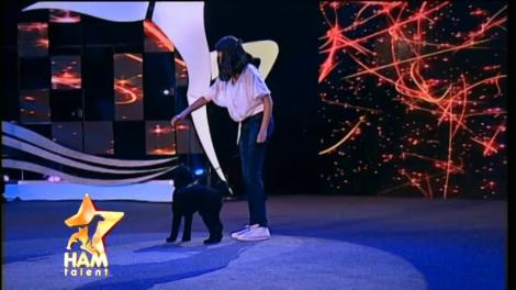 Ups! Căţelul Toto nu prea a avut chef de spectacol pe scena "Ham talent"