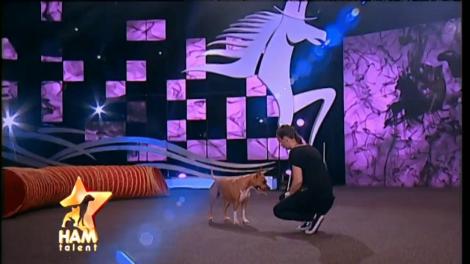 Aşa da! Căţeluşa Kleo a făcut un număr special de dresaj