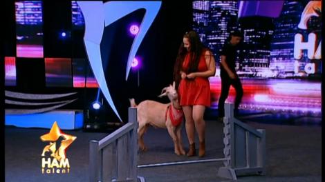 Ea e Cappy, o capră cu suflet de căţel! Stăpâna sa este o mare iubitoare de animale