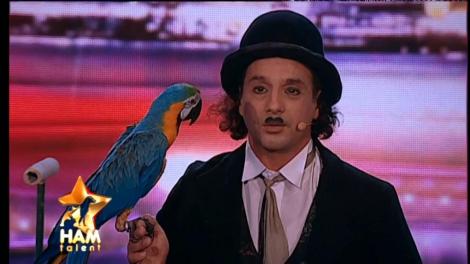 Nu ai mai văzut aşa ceva! Papagalul Cassie a reuşit să uimească juriul: "Poți face cu el tot ce îți dorești"